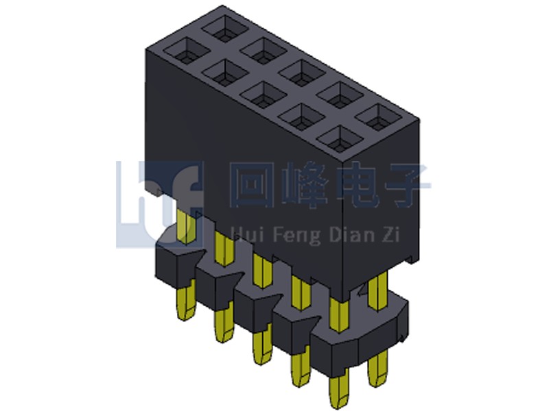 2.0mm排母 雙排雙塑 180度 2*5PIN