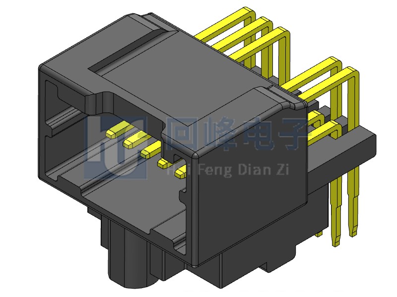 2.5mm 公座 黑殼 黃銅 2*12PIN